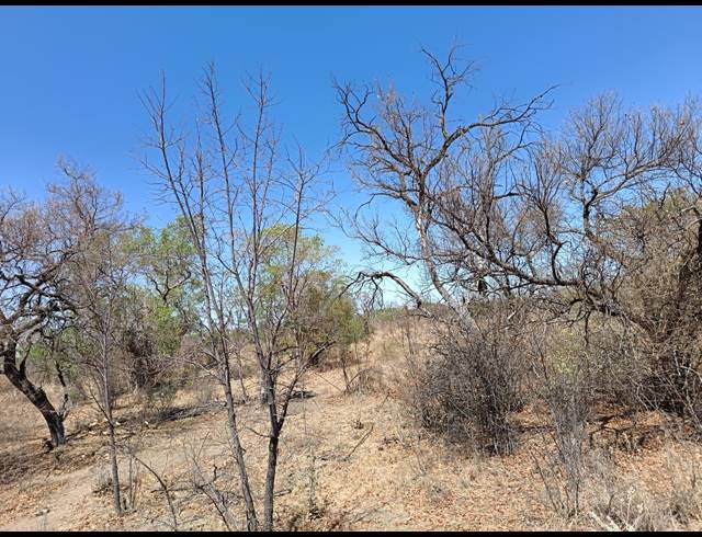 8.60HA SMALLHOLDING SOLD IN LUSTHOF